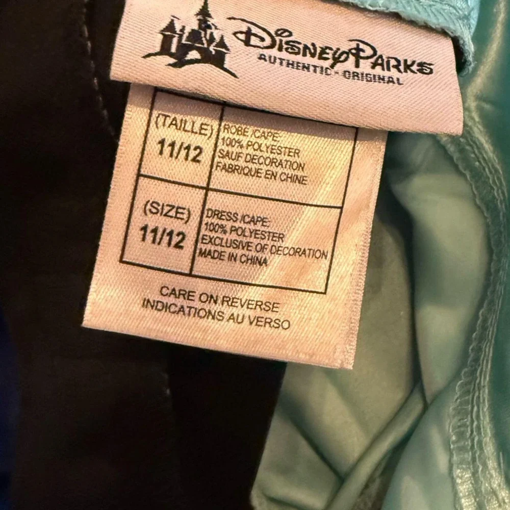 Disney parks princess